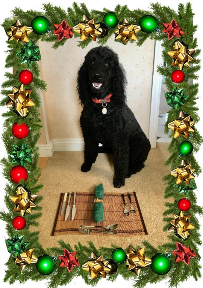 Untitled presentation (1)